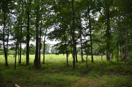 222 Ac Cattle Farm, Duck Hunting, Deer Hunting - image 24
