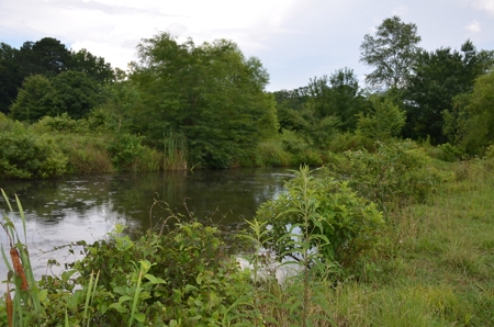 222 Ac Cattle Farm, Duck Hunting, Deer Hunting - image 34