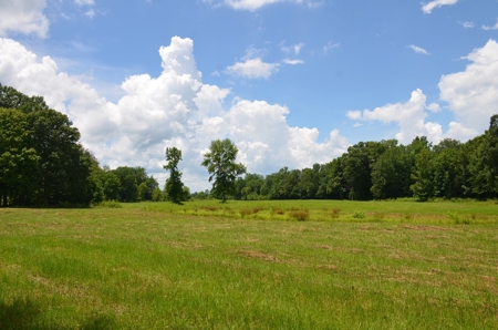 222 Ac Cattle Farm, Duck Hunting, Deer Hunting - image 16