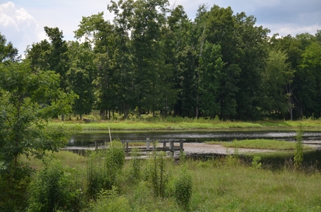 222 Ac Cattle Farm, Duck Hunting, Deer Hunting - image 39