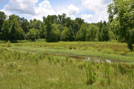 222 Ac Cattle Farm, Duck Hunting, Deer Hunting - image 8