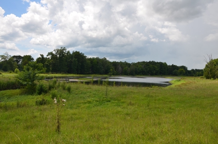 222 Ac Cattle Farm, Duck Hunting, Deer Hunting - image 41