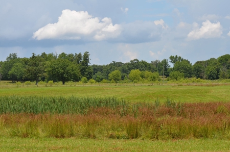 222 Ac Cattle Farm, Duck Hunting, Deer Hunting - image 5