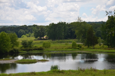 222 Ac Cattle Farm, Duck Hunting, Deer Hunting - image 45