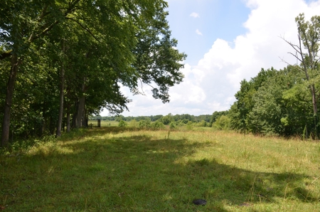 222 Ac Cattle Farm, Duck Hunting, Deer Hunting - image 7