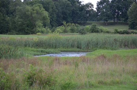 222 Ac Cattle Farm, Duck Hunting, Deer Hunting - image 31