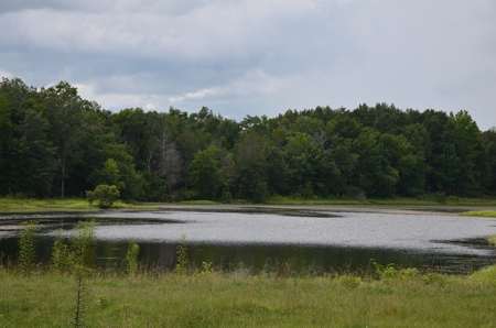222 Ac Cattle Farm, Duck Hunting, Deer Hunting - image 40