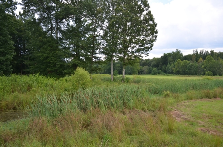 222 Ac Cattle Farm, Duck Hunting, Deer Hunting - image 28