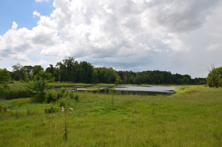 222 Ac Cattle Farm, Duck Hunting, Deer Hunting - image 38