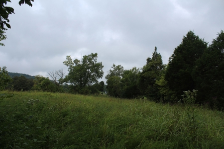60 Acres of Warren County Land with Building Sites - image 17