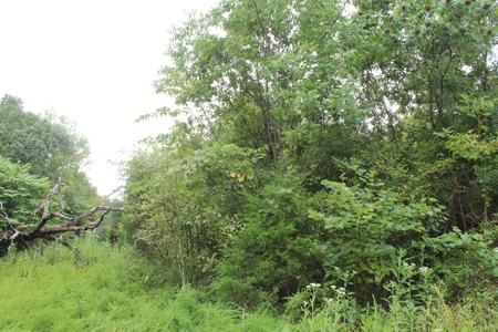 60 Acres of Warren County Land with Building Sites - image 12
