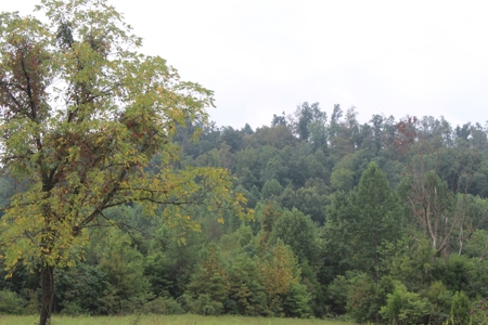 60 Acres of Warren County Land with Building Sites - image 14