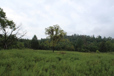 60 Acres of Warren County Land with Building Sites - image 11