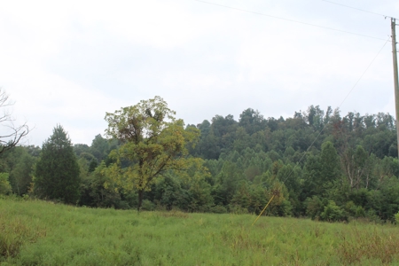60 Acres of Warren County Land with Building Sites - image 5