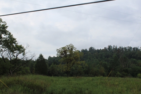 60 Acres of Warren County Land with Building Sites - image 8