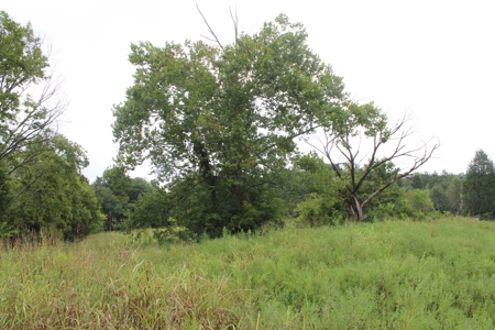 60 Acres of Warren County Land with Building Sites - image 18