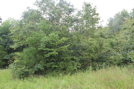 60 Acres of Warren County Land with Building Sites - image 16