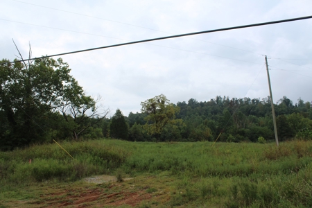 60 Acres of Warren County Land with Building Sites - image 4