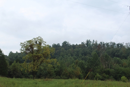 60 Acres of Warren County Land with Building Sites - image 10