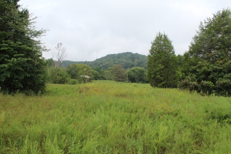 60 Acres of Warren County Land with Building Sites - image 9