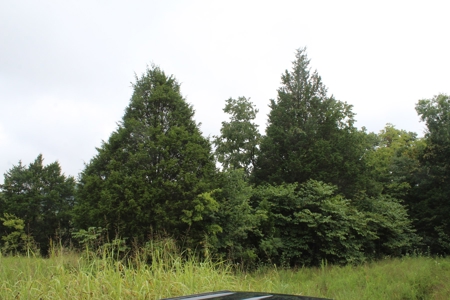 60 Acres of Warren County Land with Building Sites - image 15