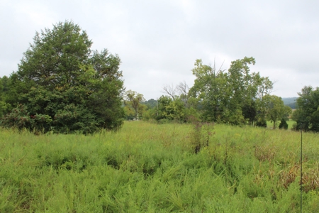 60 Acres of Warren County Land with Building Sites - image 2