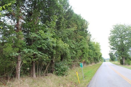 60 Acres of Warren County Land with Building Sites - image 6