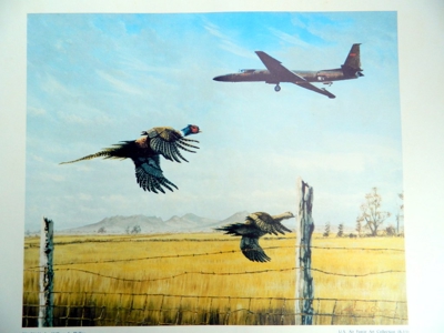 3328 - image 7