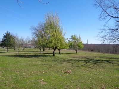 4081 - image 0