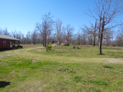 4082 - image 0