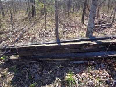 4236 - image 0