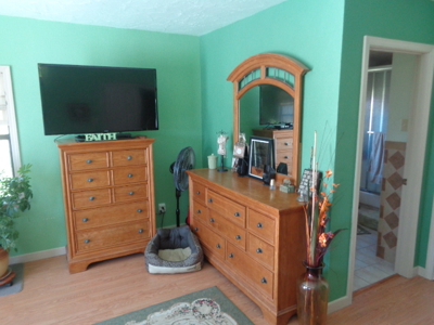 4339 - image 0