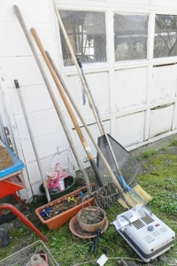 6600 - image 8