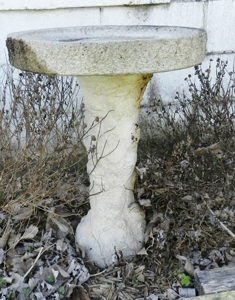 6605 - image 13