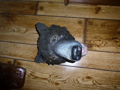 7250 - image 38