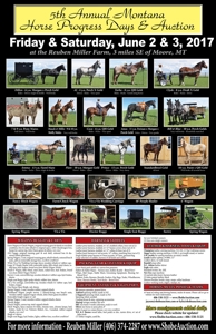 45144 - image 3