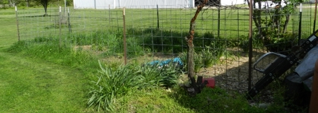 11242 - image 7