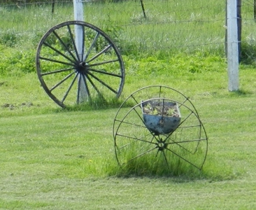 11243 - image 8
