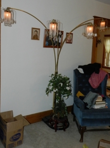 11247 - image 11