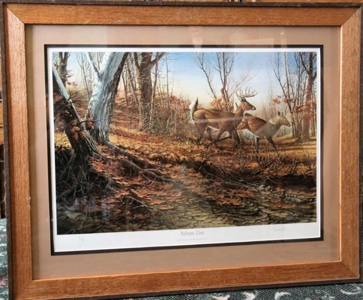 19249 - image 15