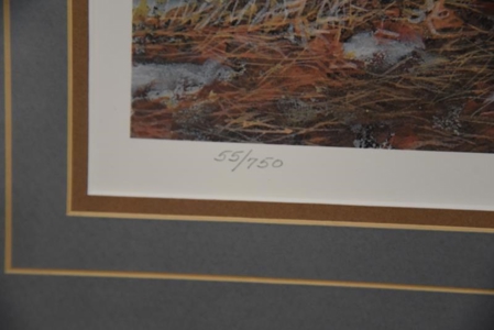 19823 - image 58