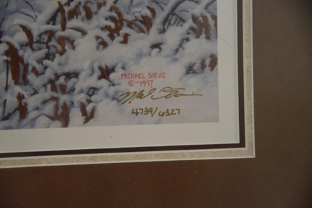 19796 - image 31