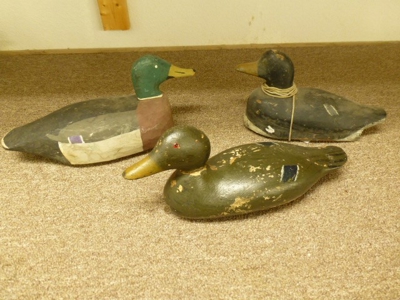 21036 - image 51