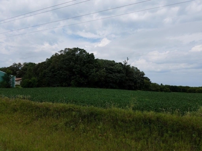 22450 - image 49