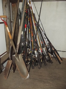 35549 - image 22