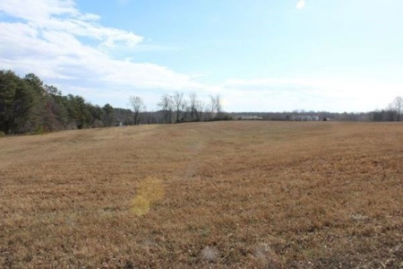 39435 - image 1