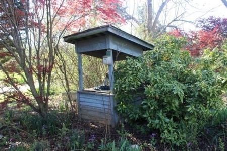 40645 - image 3