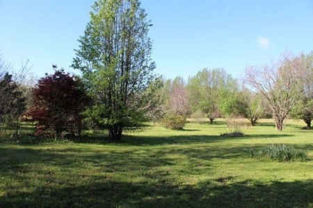 40646 - image 4