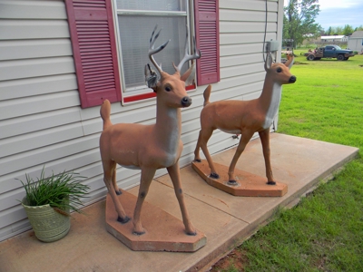 41297 - image 31