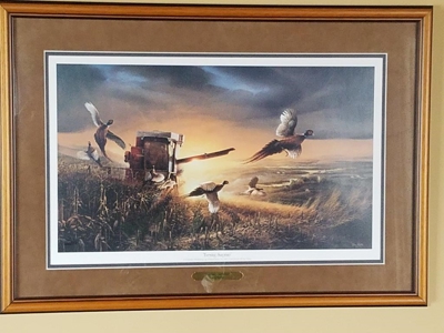 41577 - image 11